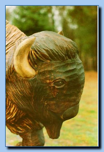 2-75 buffalo-archive-0002